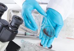 Anatomía del cabello. Parte 2 - Estructura del tallo del cabello